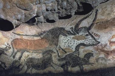 Pittura rupestre di un toro e cavalli, c.17000 a.C. (pittura rupestre)